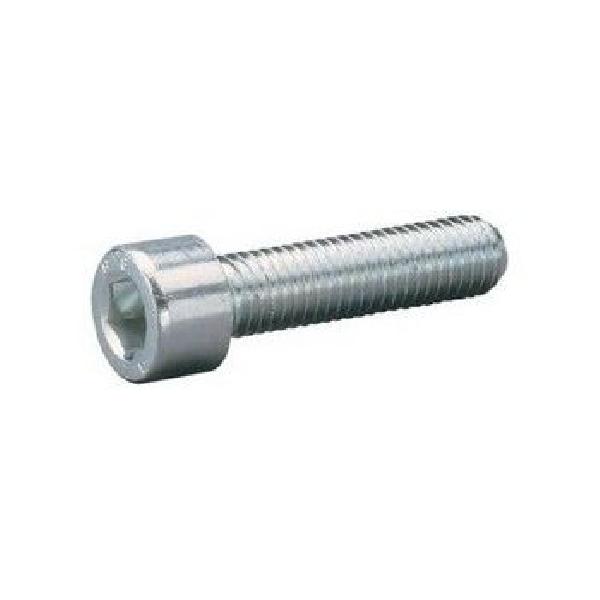 Bofix Inbusbout M5 X 16 RVS (25 Stuks) (214126)