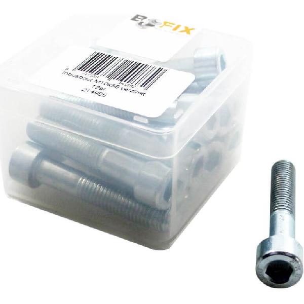 Bofix Doos inbusbout M10x55 (12 stuks)