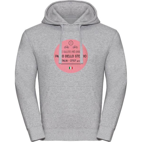 Wieler hoodie Passo Dello Stelvio