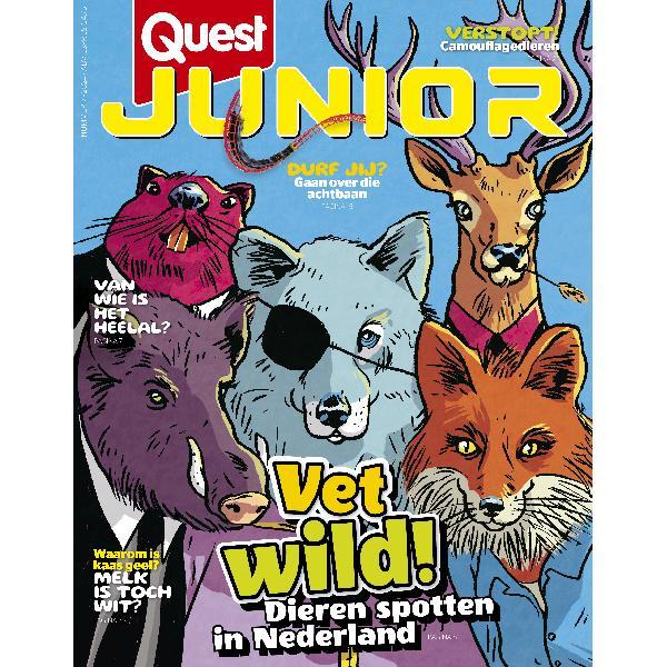 Quest Junior 7/2024